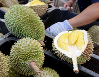 Durian Feast